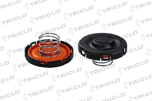 412571 Triclo