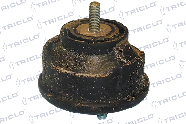 363155 Triclo