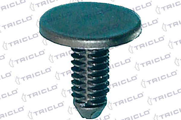 162806 Triclo