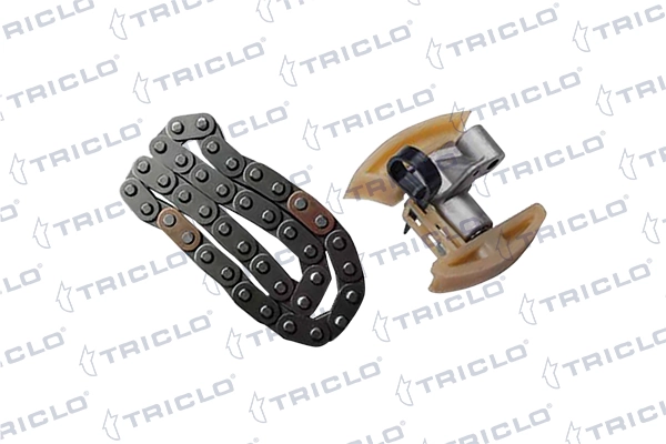 428911 Triclo