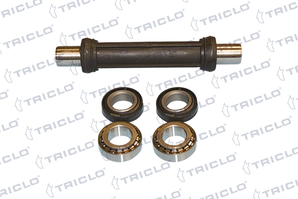 781439 Triclo