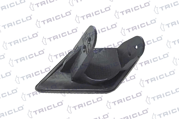 190205 Triclo