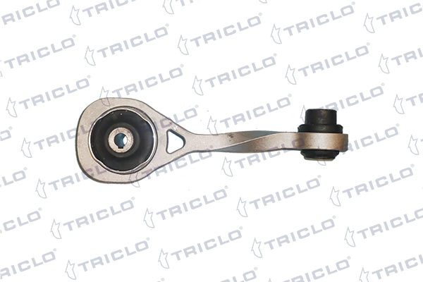  Coxim (suporte) traseiro de motor Renault Clio SYMBOL sedan (LB0, LB1, LB2) (1998 - 2008) SYMBOL