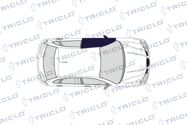 111409 Triclo