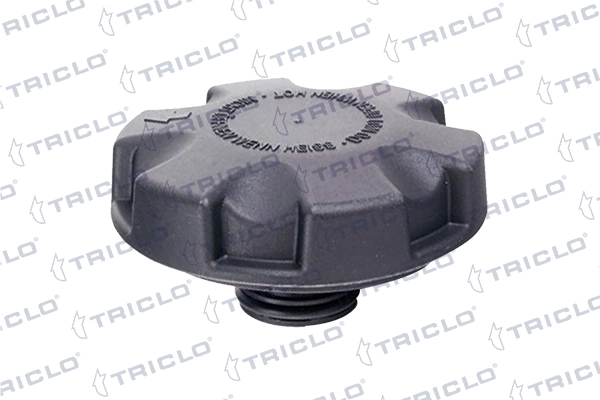 313199 Triclo