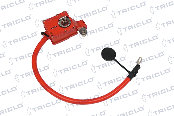 972480 Triclo