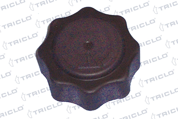 313339 Triclo