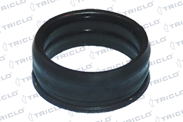 441862 Triclo