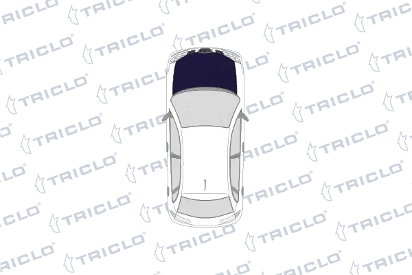 Fecho da capota Ford C-Max DM2