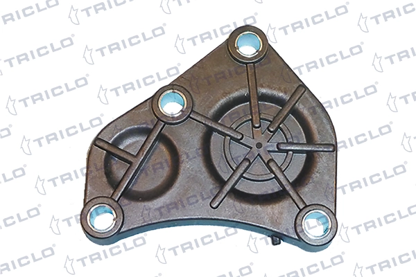 462403 Triclo