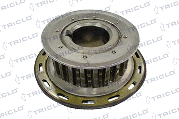 421712 Triclo