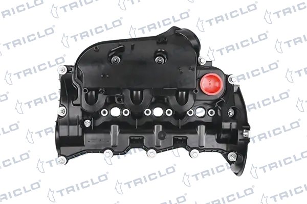 396584 Triclo