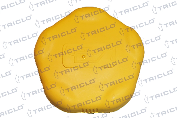 314825 Triclo