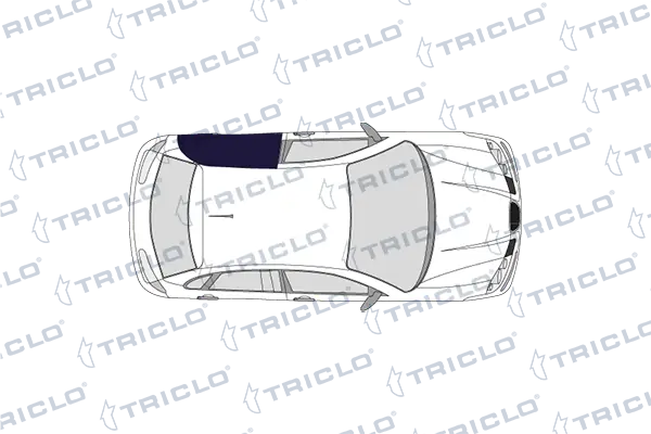 132123 Triclo