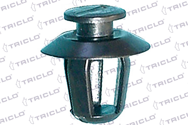 162804 Triclo