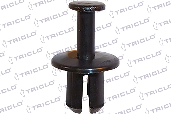164097 Triclo