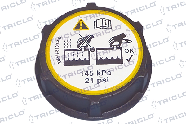 Tampa (tampão) do tanque de expansão Volvo S40 2 MS