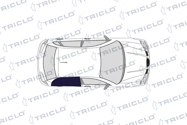 111448 Triclo