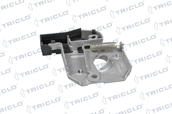 Compre Fecho da capota Renault Scenic 2