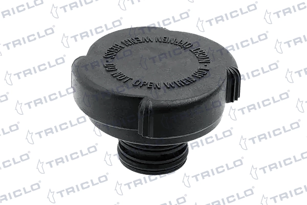 313413 Triclo