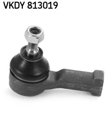 VKDY813019 SKF