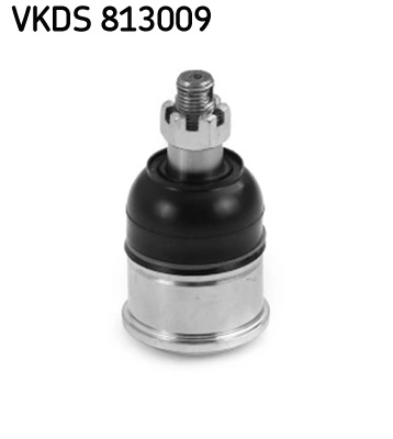 VKDS813009 SKF