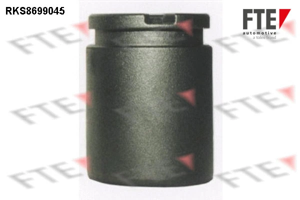 RKS8699045 FTE