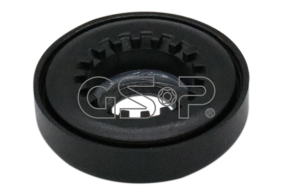 510069 GSP