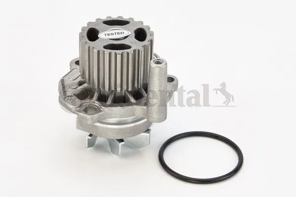 WP6006 Continental/Siemens