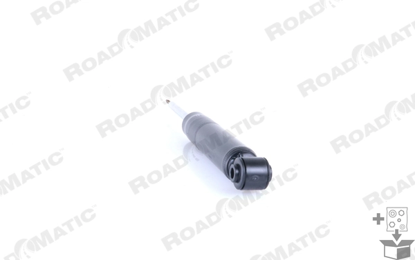 102513GAS DTW Амортизаторы задние