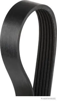  Correia dos conjuntos de transmissão Seat Exeo ST carrinha (3R5) (2009 - 2026) ST