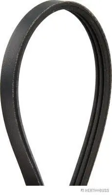 Correia dos conjuntos de transmissão Renault (RVI) 8200041848