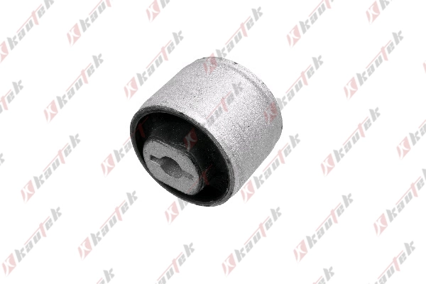 Bloco silencioso de viga traseira (de plataforma veicular) Volvo S60 1 RS, RH