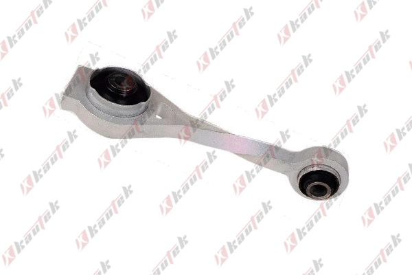 Coxim (suporte) traseiro de motor Renault Scenic 1 JA0, JA1, FA0