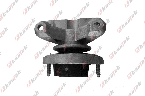 Coxim (suporte) traseiro de motor Audi A4 8E2