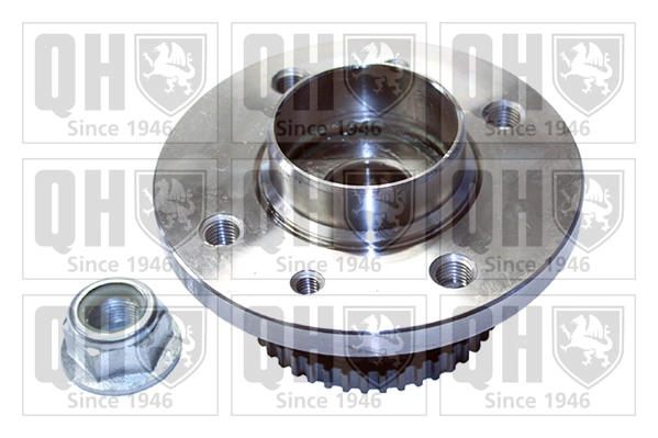 Ступица заднего колеса SNR TGB40266S01