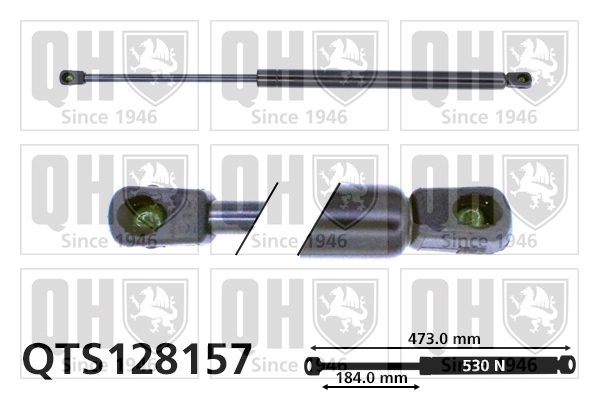 Купить ST0028DR Stabilus Амортизатор двери багажника