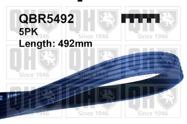Клиновый ремень Volkswagen Jetta VI седан (162, 163, AV3, AV2, AY2, AY3) (2011 - 2019) цена, от 9.94 USD