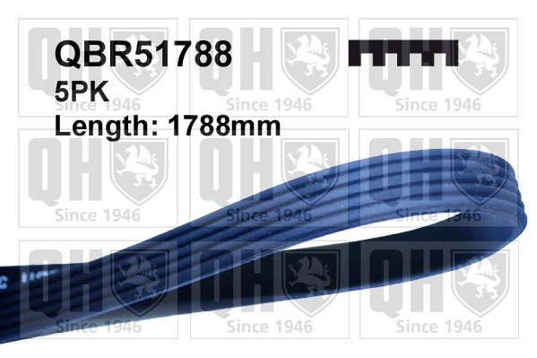 Клиновый ремень Mercedes A0019932896 цена, от 11.01 USD