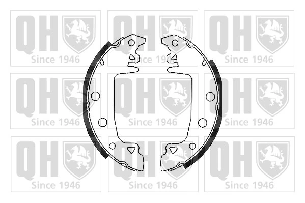 Задние барабанные колодки 5881059 Fiat/Alfa/Lancia