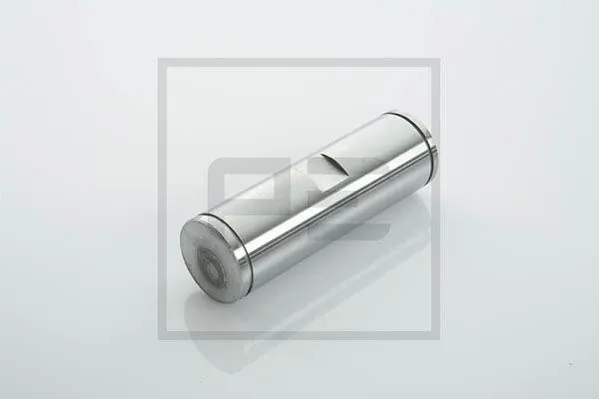 Палец задних барабанных тормозных колодок 0096242 DAF