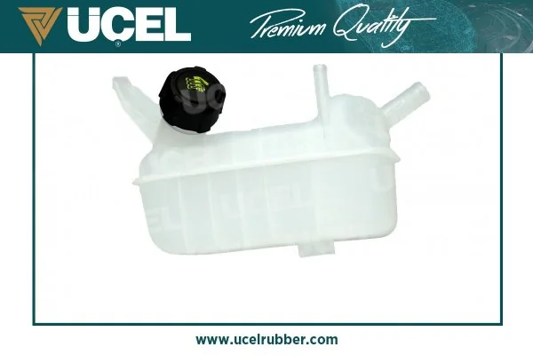 Tanque de expansão do sistema de esfriamento Renault Megane 2 LM0, LM1
