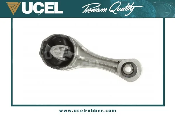 Coxim (suporte) dianteiro de motor Renault Kangoo 2 FW0