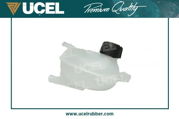 Tanque de expansão do sistema de esfriamento Renault Clio 4 BH