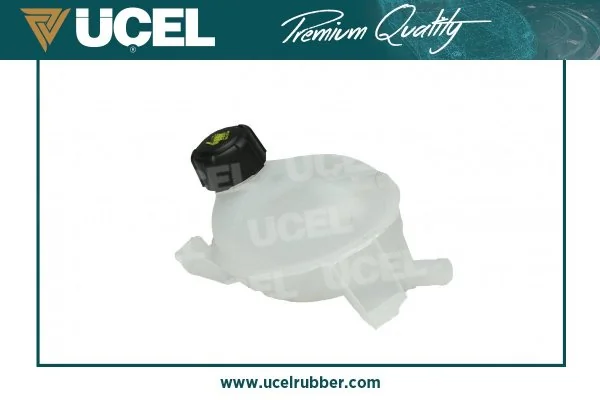 Tanque de expansão do sistema de esfriamento Renault Clio 4 BH