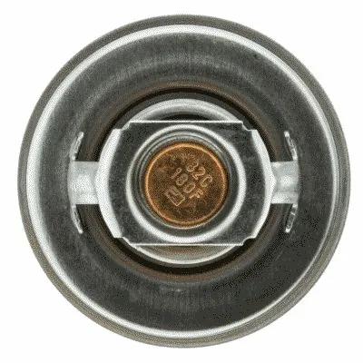 Термостат в сборе Magneti Marelli TE0078