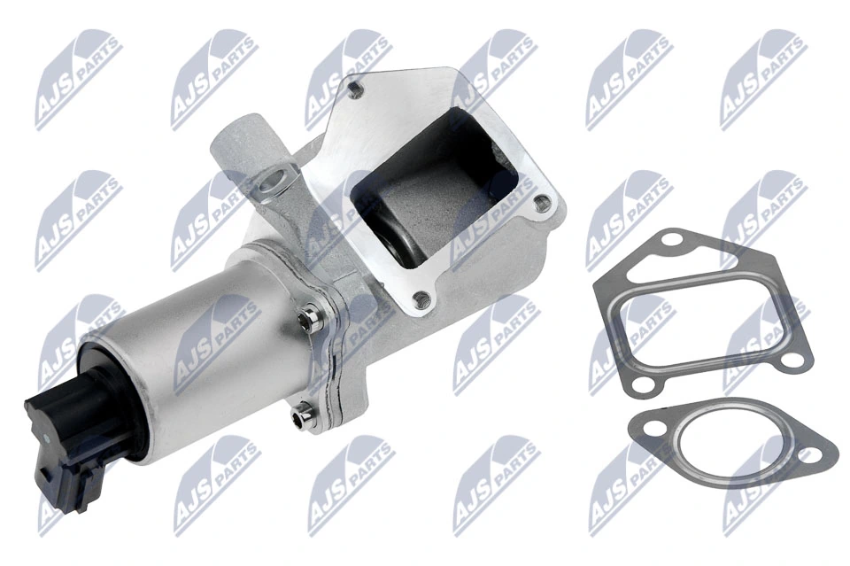 Válvula EGR de recirculação dos gases SsangYong Rexton 1 RJN