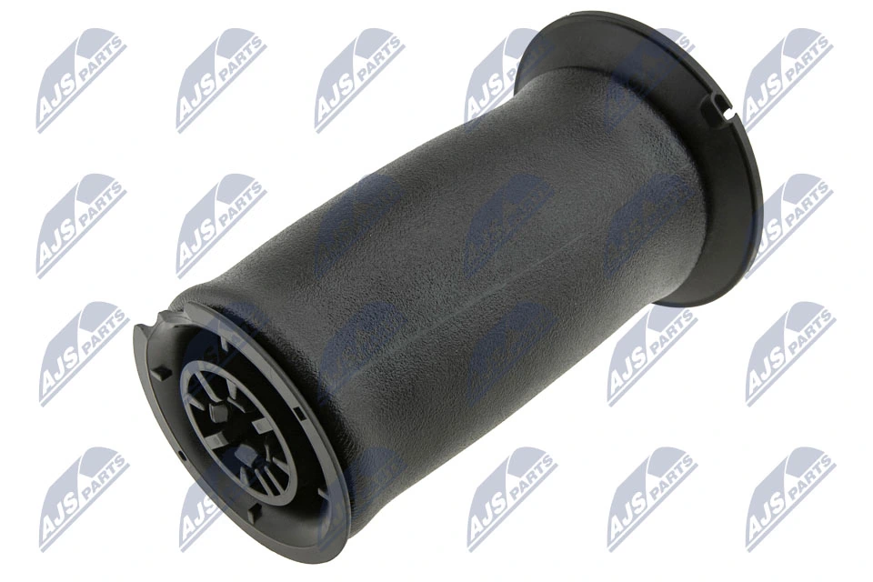 EZCBM219 NTY Пневморессора задняя