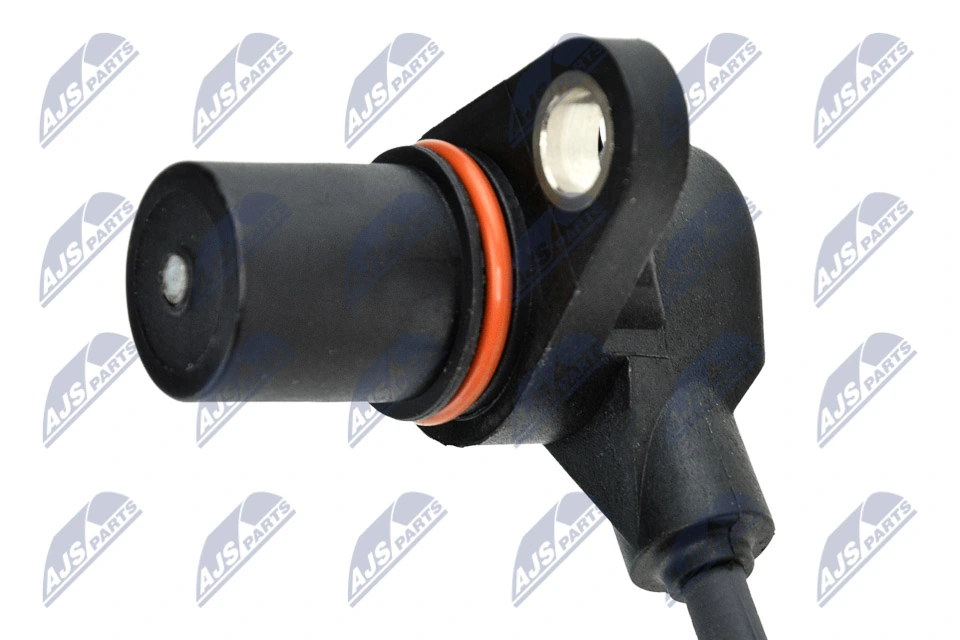 ECPAU009 NTY ДПКВ
