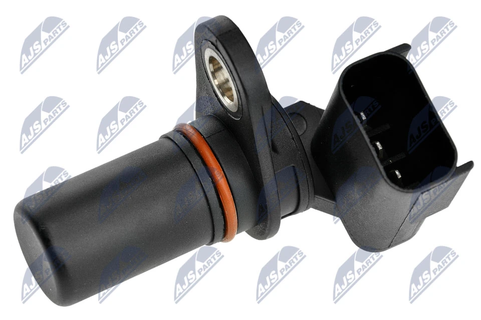 ECPCH016 NTY